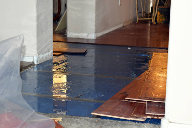 Professional Water Damage Restoration technician working in Milford, DE